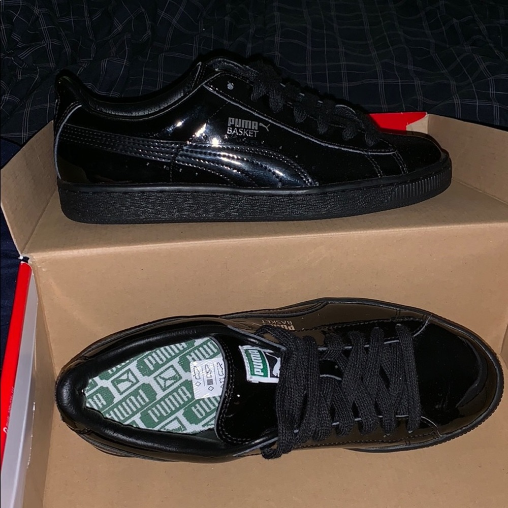 Puma v2 shiny